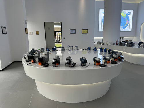 萬千氣象看四川 甜美內(nèi)江行丨企業(yè) 回家 拓展 升級(jí) 前景