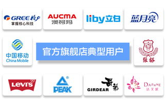 臺州飛速網絡 一站式網站建設、淘寶代運營與優化服務專家