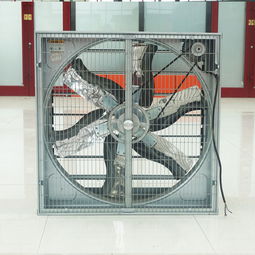負壓風機在工業養殖中的關鍵作用 降溫換氣與環保設備解析
